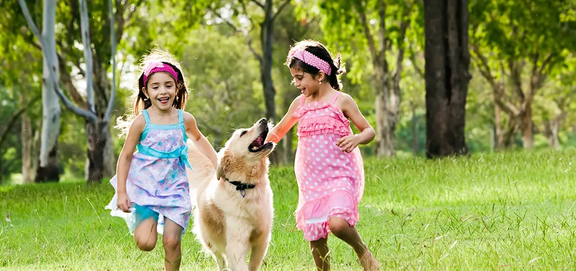 Pet Park